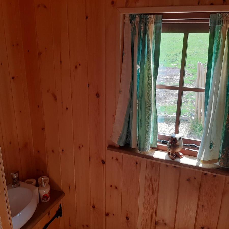 קרייבן ארמס Foxglove Accommodation מראה חיצוני תמונה