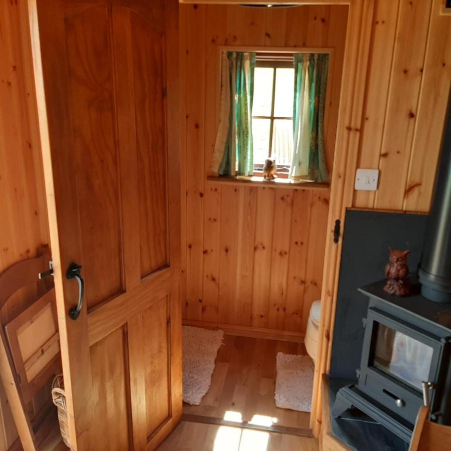 קרייבן ארמס Foxglove Accommodation מראה חיצוני תמונה