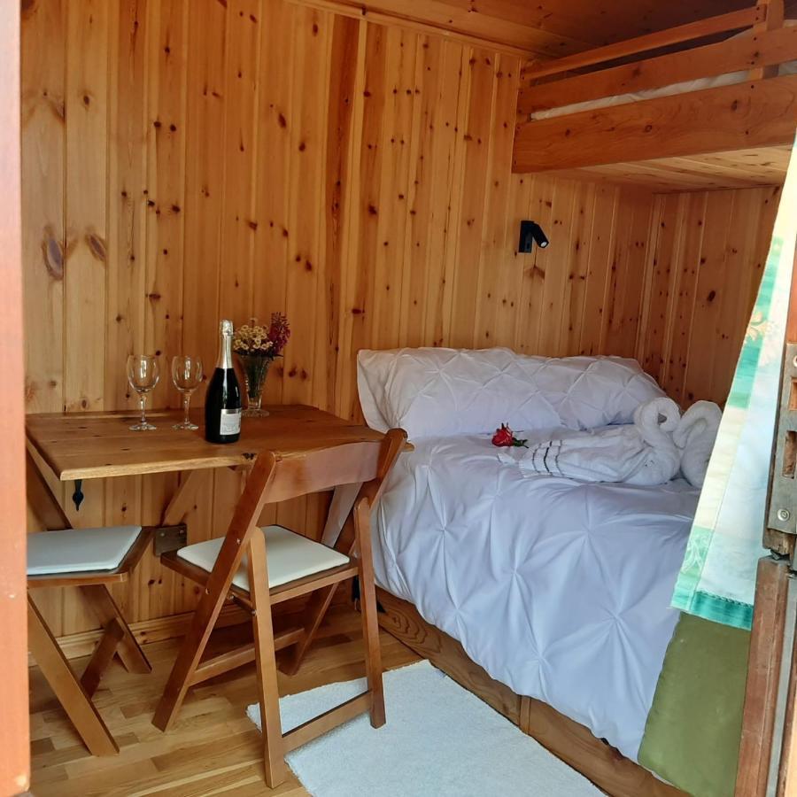 קרייבן ארמס Foxglove Accommodation מראה חיצוני תמונה