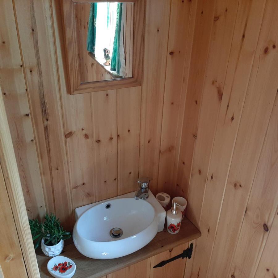 קרייבן ארמס Foxglove Accommodation מראה חיצוני תמונה