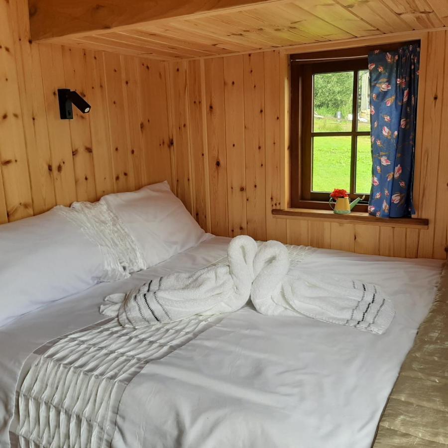 קרייבן ארמס Foxglove Accommodation מראה חיצוני תמונה