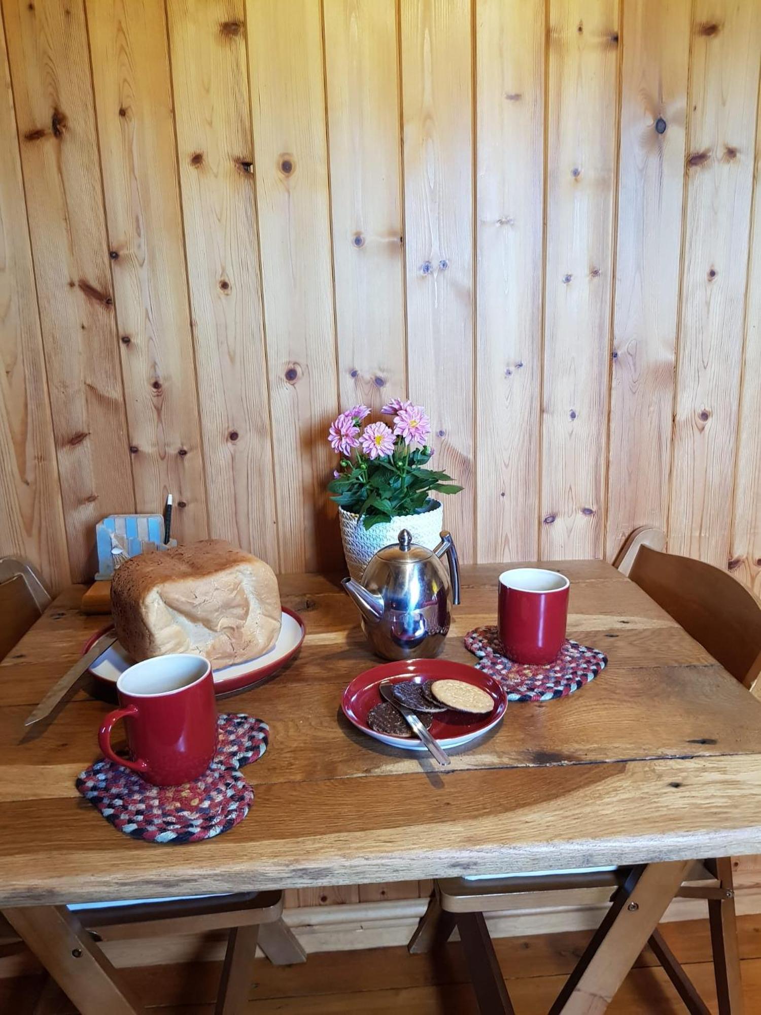 קרייבן ארמס Foxglove Accommodation מראה חיצוני תמונה