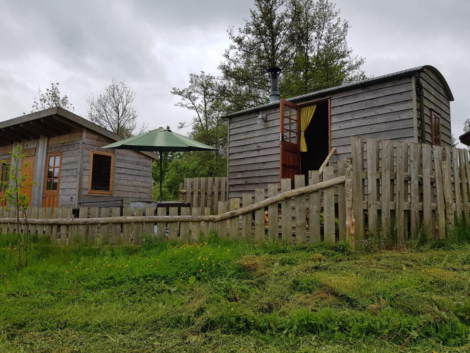 קרייבן ארמס Foxglove Accommodation מראה חיצוני תמונה